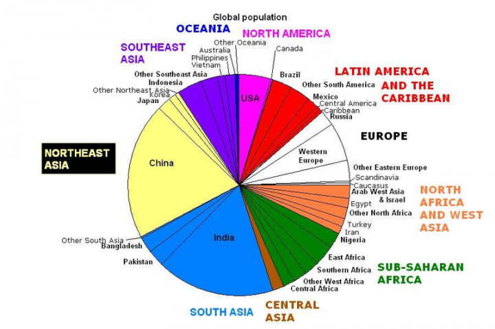 What will this pie chart look