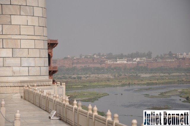 DSC_1001 DSC_1001
